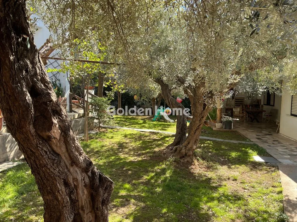 Apartment 130m²  - 3