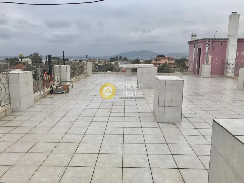 Άλλο..  320τ.μ.  - 4