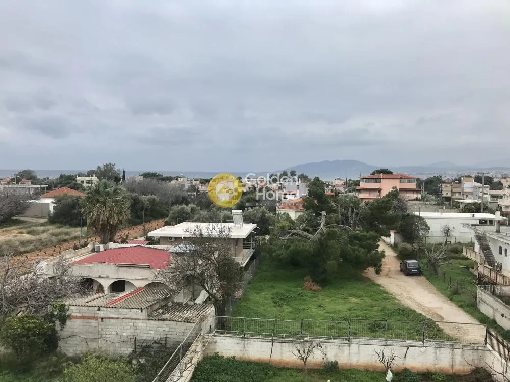 Άλλο..  320τ.μ.  - 5