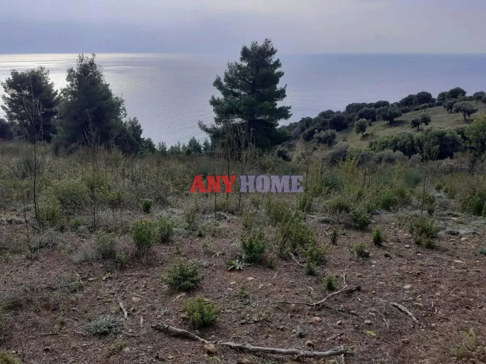 Αγροτεμάχιο 7000τ.μ.  - 2