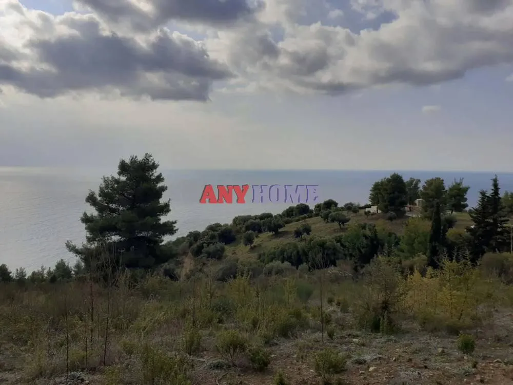 Αγροτεμάχιο 7000τ.μ.  - 3