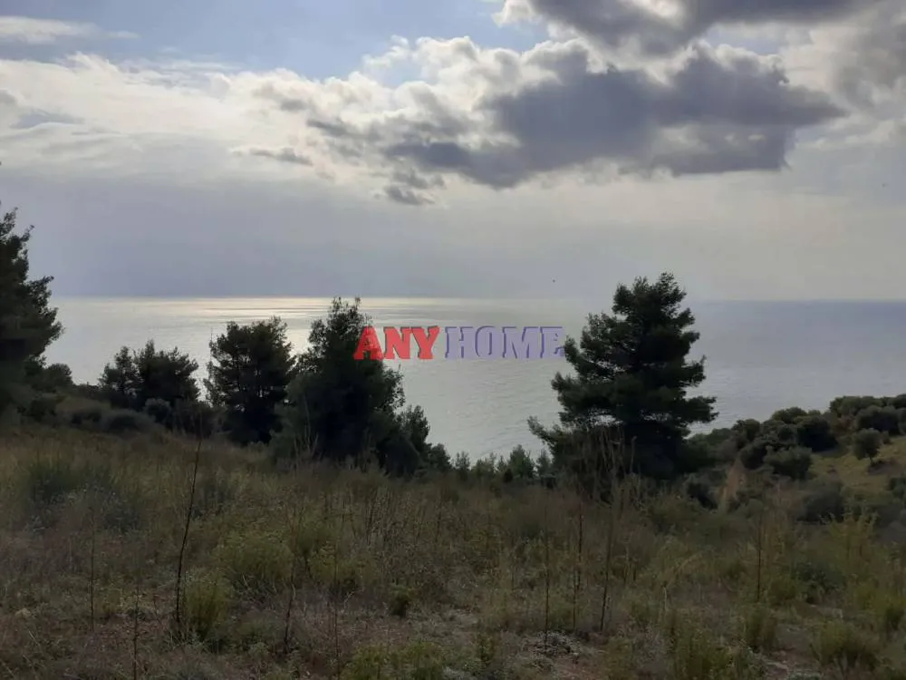 Αγροτεμάχιο 7000τ.μ.  - 4