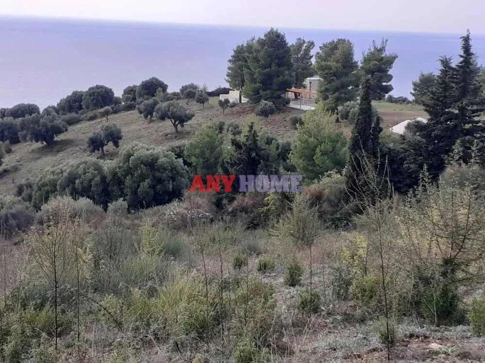 Αγροτεμάχιο 7000τ.μ.  - 5