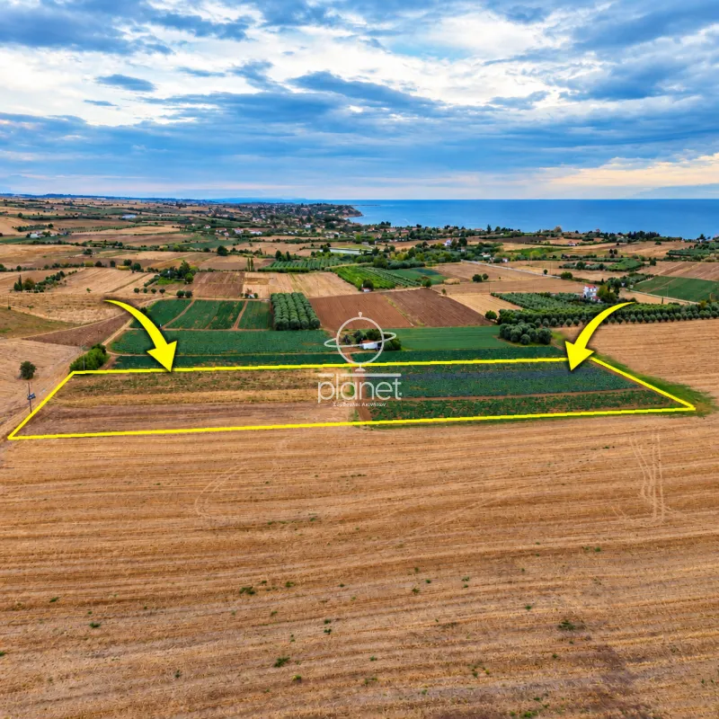 Land Parcel 19923m²  - 4
