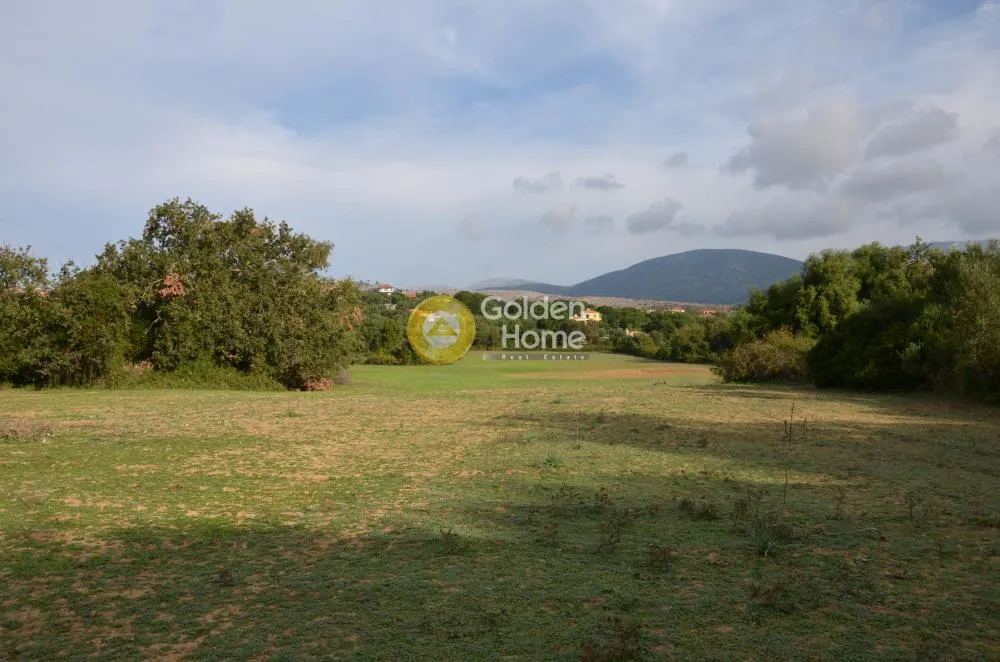 Αγροτεμάχιο 22000τ.μ.  - 2