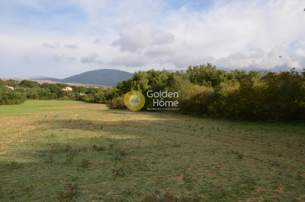 Αγροτεμάχιο 22000τ.μ.  - 3