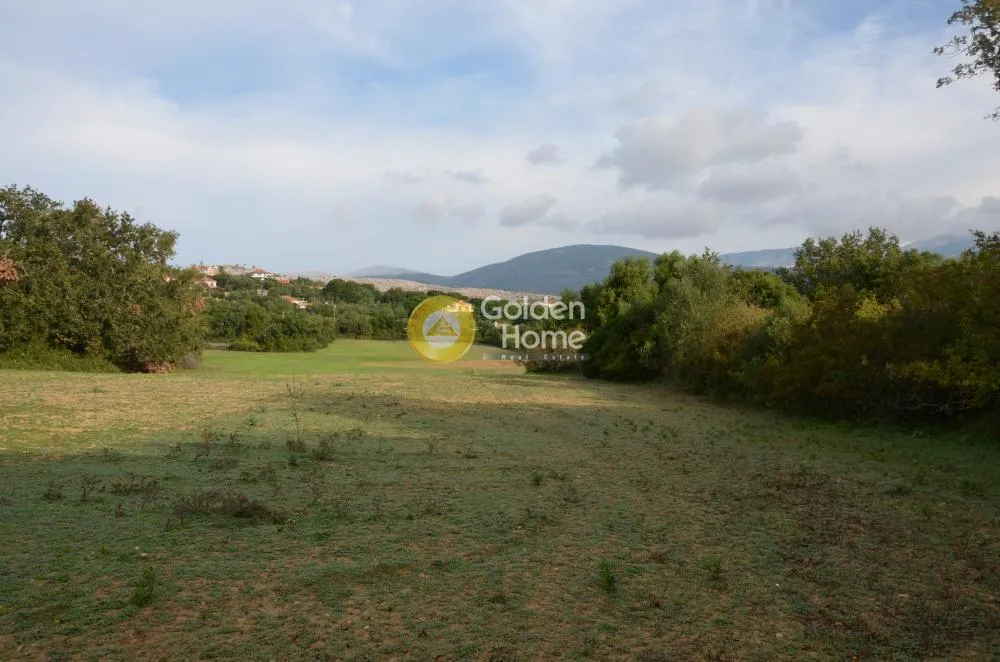Αγροτεμάχιο 22000τ.μ.  - 5