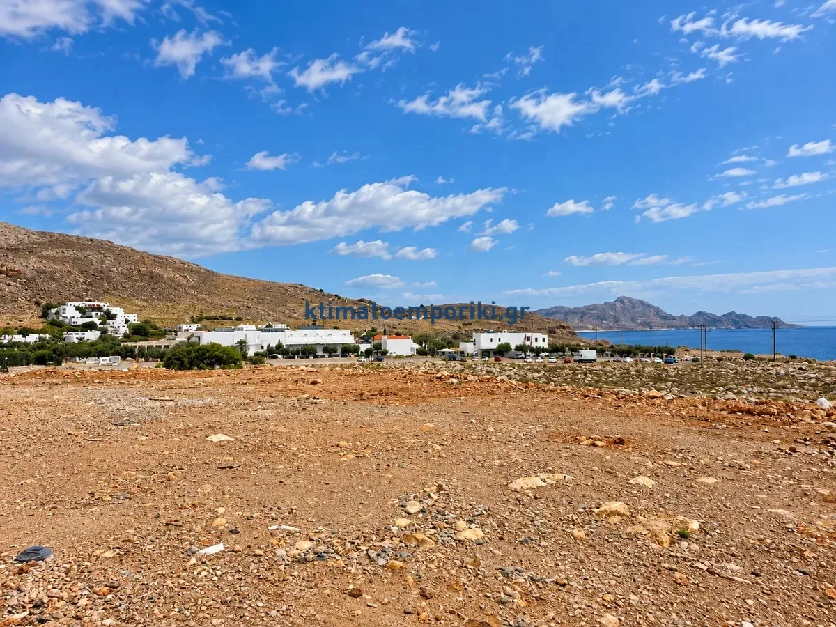 Plot 8000m²  - 3
