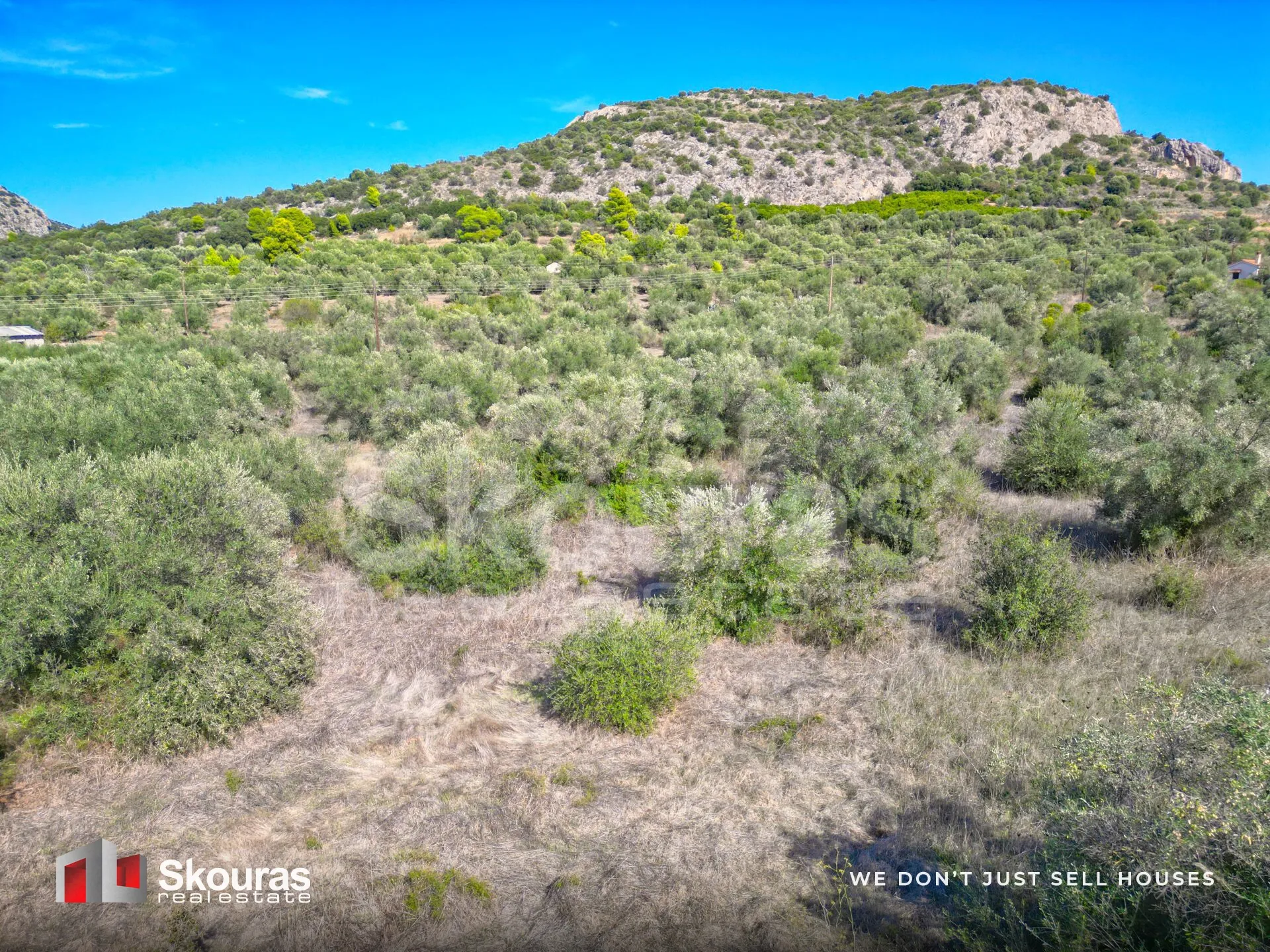 Land Parcel 8777m²  - 5