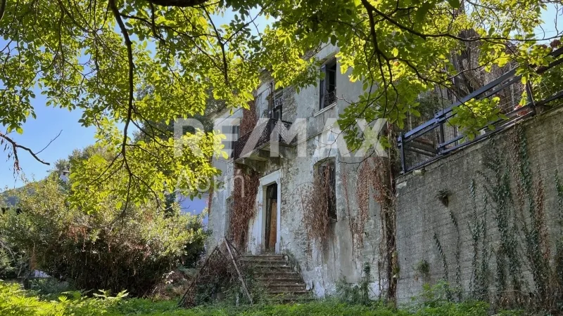 Detached house 366m²  - 2