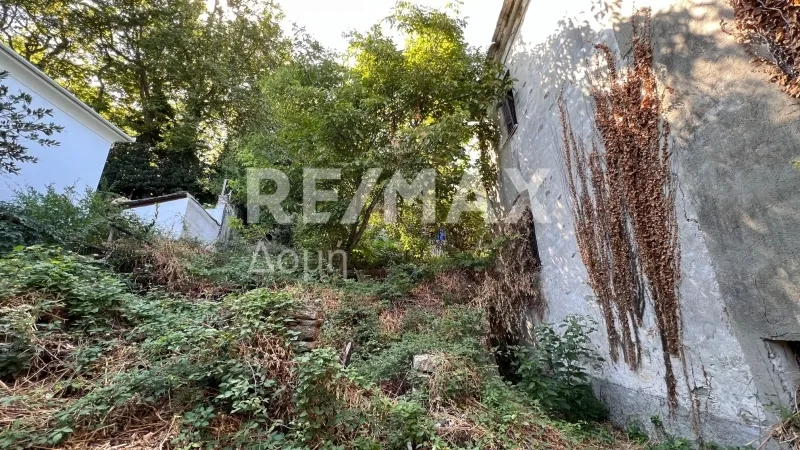 Detached house 366m²  - 5