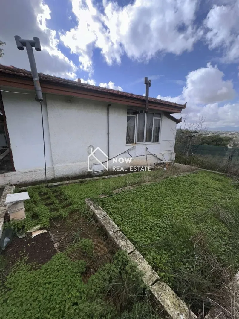Detached house 350m²  - 3