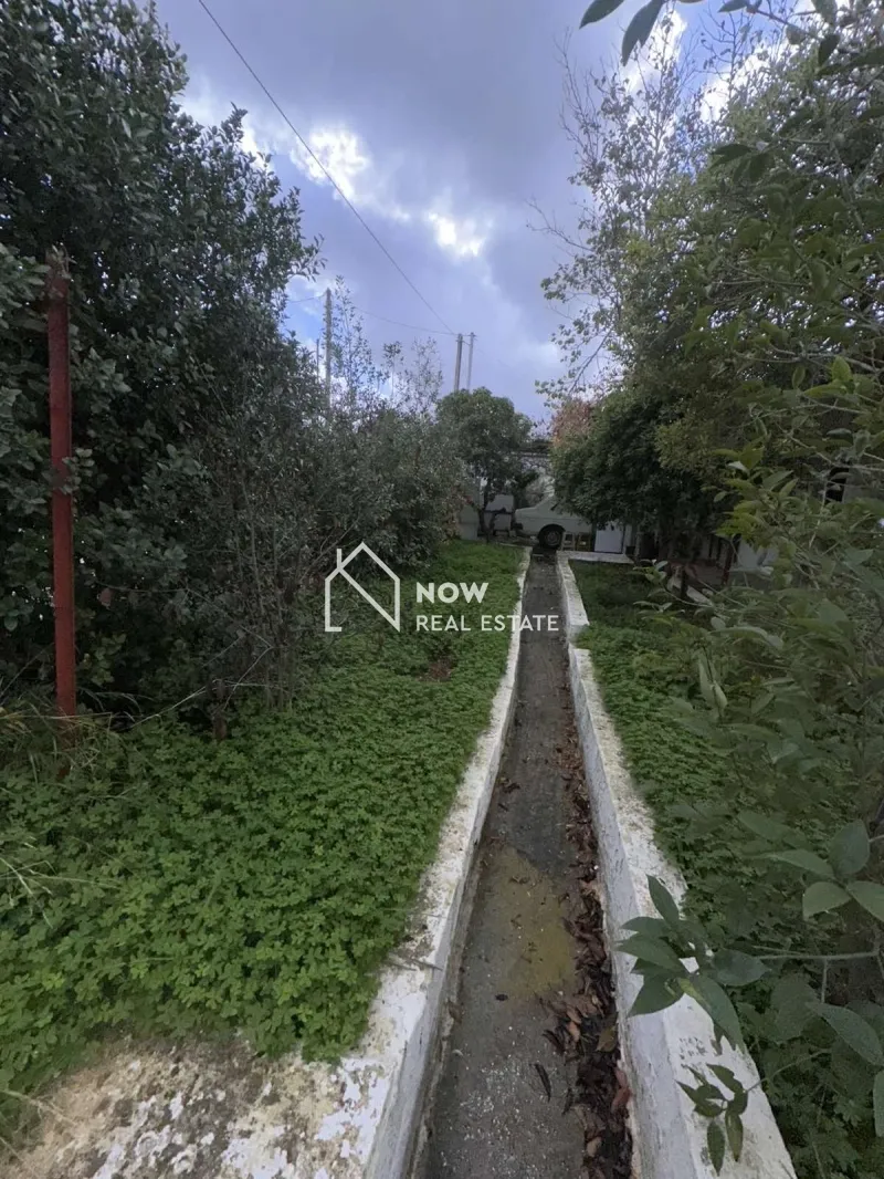 Detached house 350m²  - 4