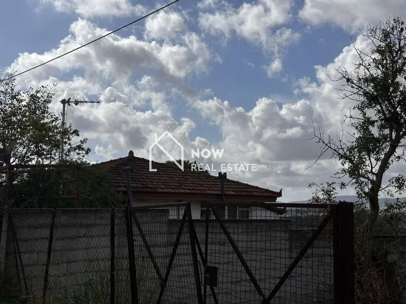 Detached house 350m²  - 5