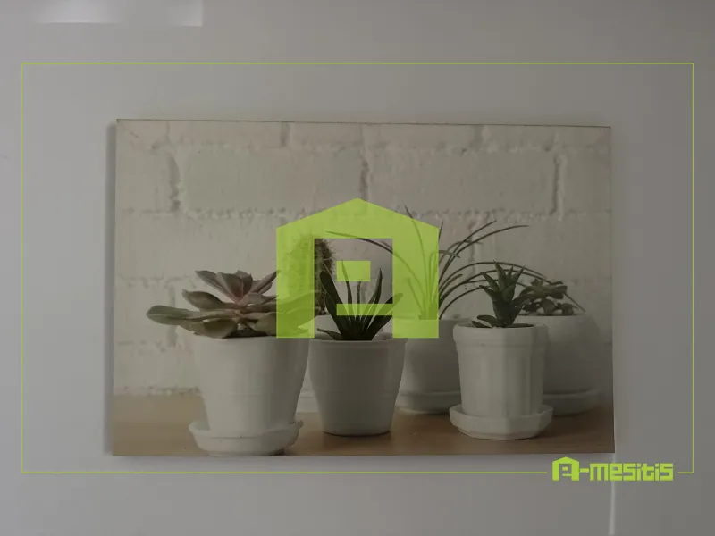 Studio 35m²  - 3