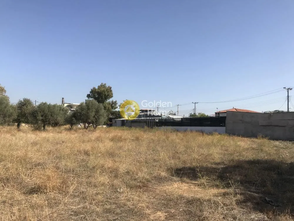 Άλλο.. 4750τ.μ.  - 2