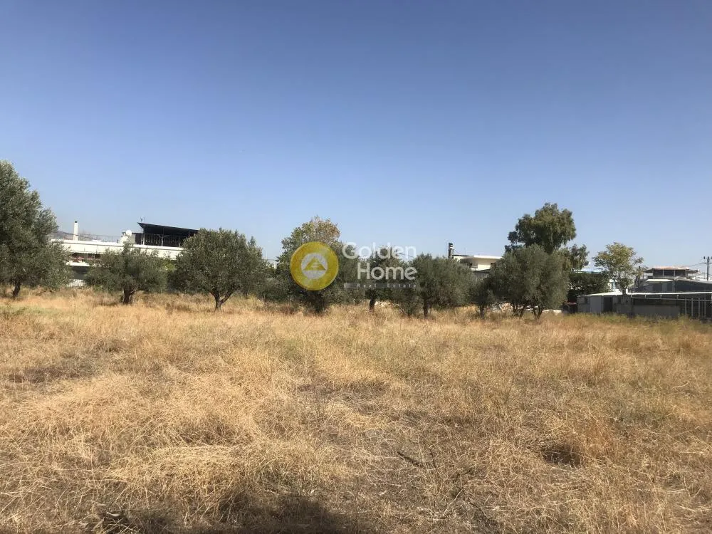 Άλλο.. 4750τ.μ.  - 3