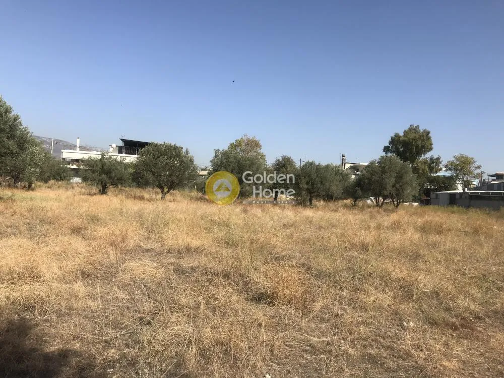 Άλλο.. 4750τ.μ.  - 4