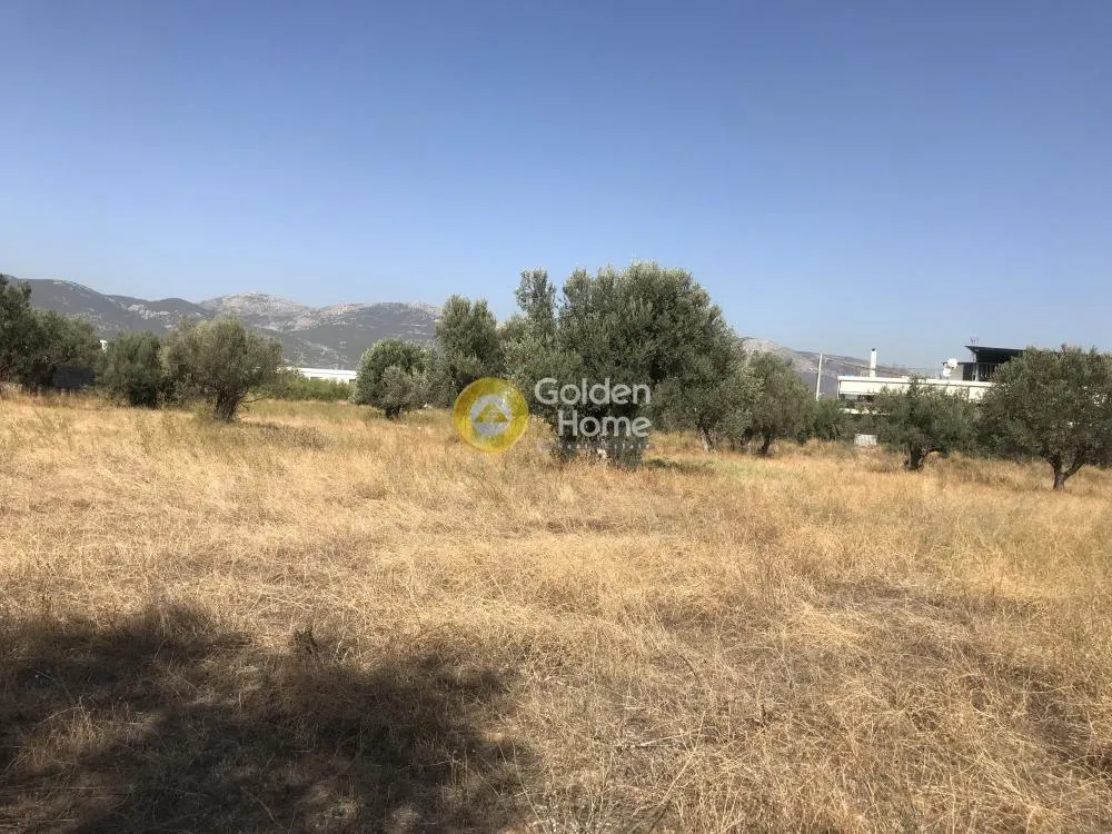 Άλλο.. 4750τ.μ.  - 5