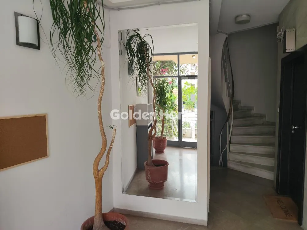Office 77m²  - 4
