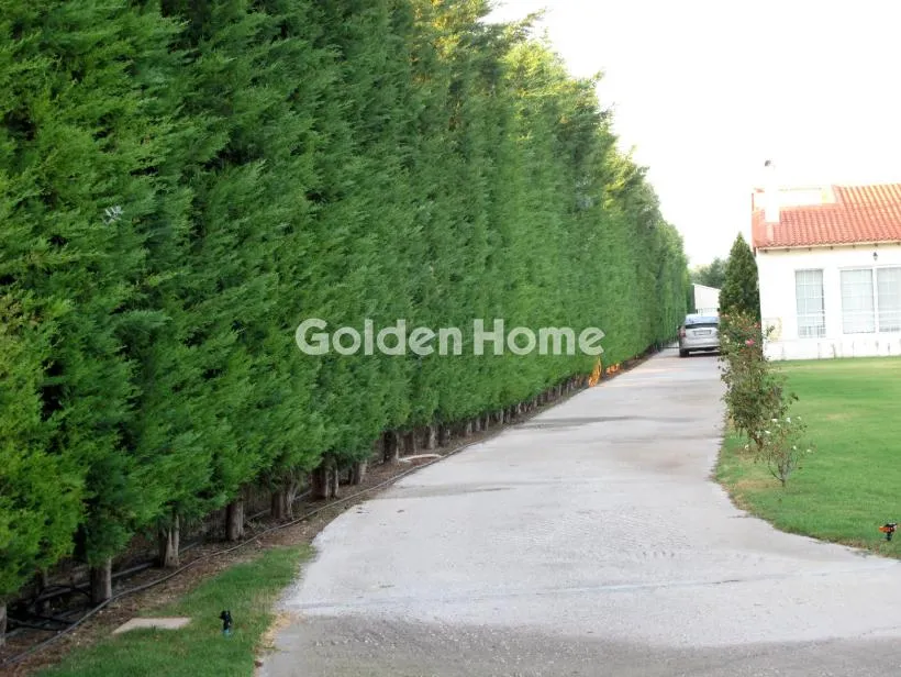 Detached house 200m²  - 4