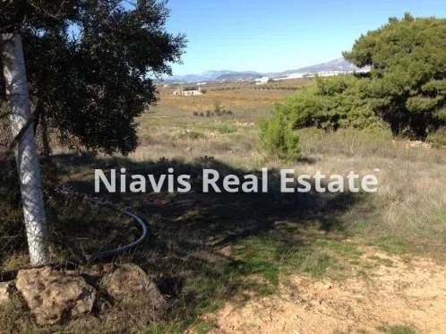 Land Parcel 4500m²  - 3