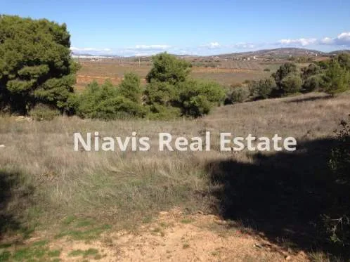 Land Parcel 4500m²  - 4