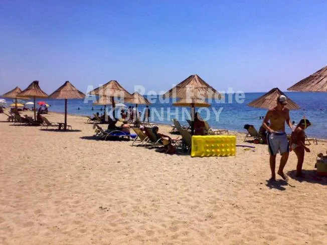 Κατάστημα 300τ.μ.  - 3