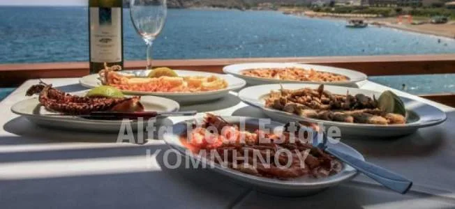 Κατάστημα 300τ.μ.  - 5