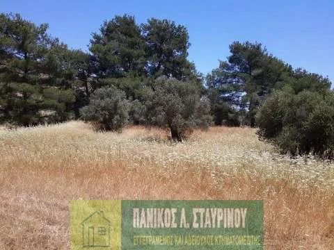 Land Parcel 8027m²  - 3