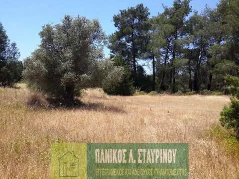 Land Parcel 8027m²  - 4