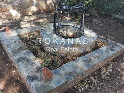 Μονοκατοικία 260τ.μ.  - 3