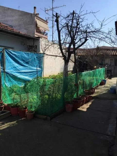 Detached house 80m²  - 3