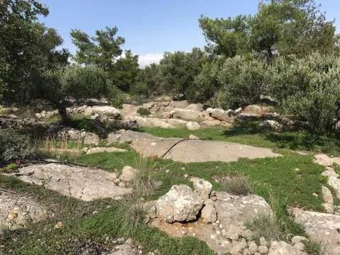 Αγροτεμάχιο 2500τ.μ.  - 4