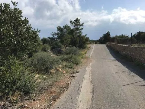 Αγροτεμάχιο 2500τ.μ.  - 5