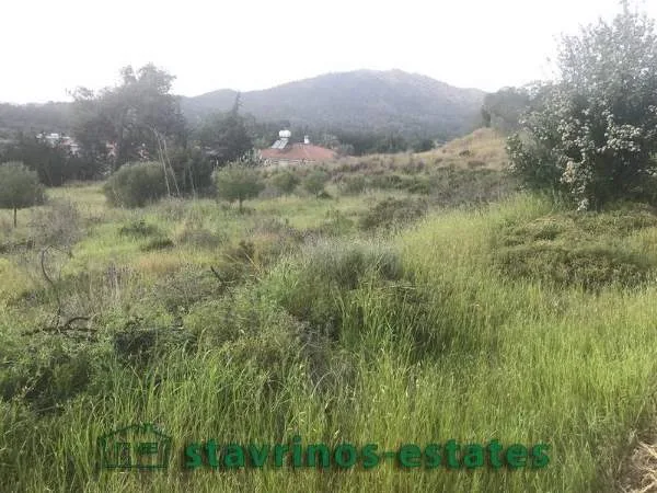 Αγροτεμάχιο 9776τ.μ.  - 3