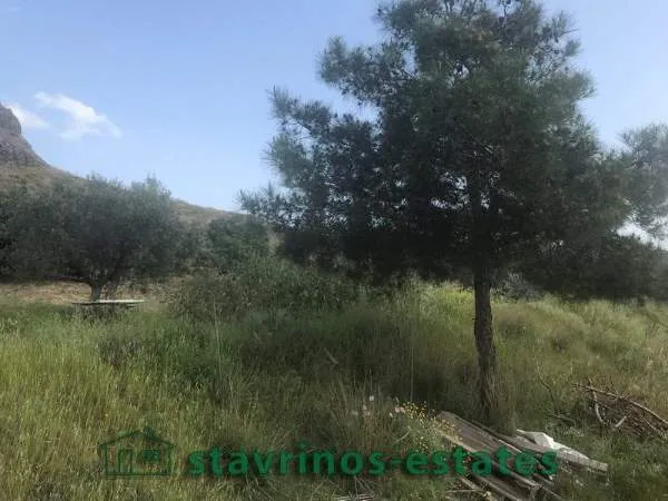 Αγροτεμάχιο 9776τ.μ.  - 4