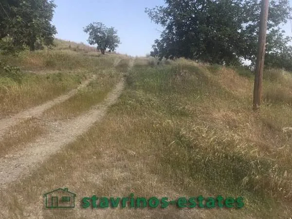 Αγροτεμάχιο 9776τ.μ.  - 5