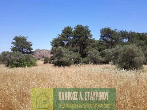 Αγροτεμάχιο 4013τ.μ.  - 2