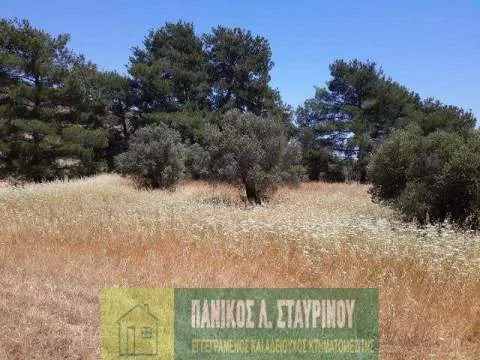 Αγροτεμάχιο 4013τ.μ.  - 3
