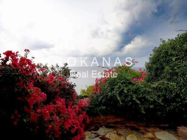 Μονοκατοικία 180τ.μ.  - 2
