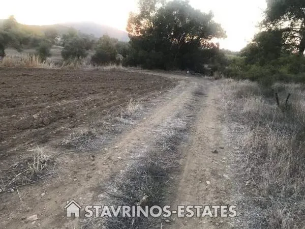 Αγροτεμάχιο 3000τ.μ.  - 2