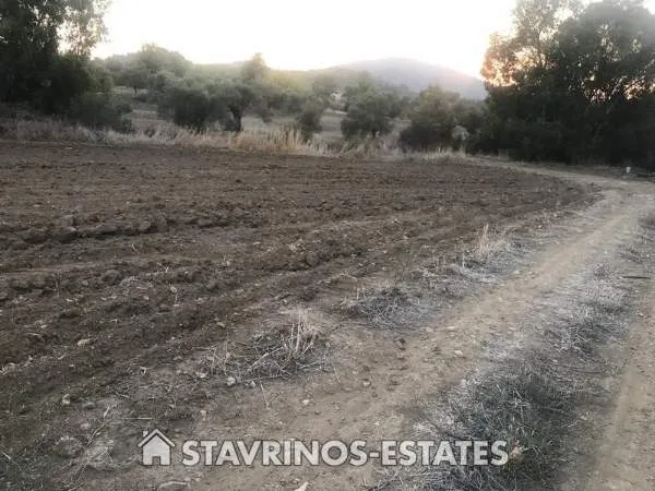 Αγροτεμάχιο 3000τ.μ.  - 3