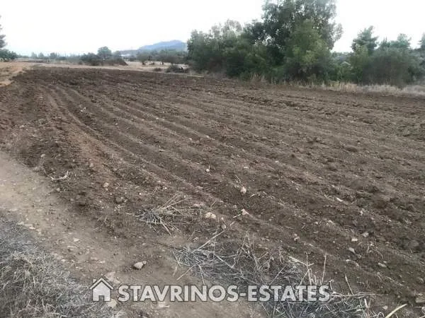 Αγροτεμάχιο 3000τ.μ.  - 4