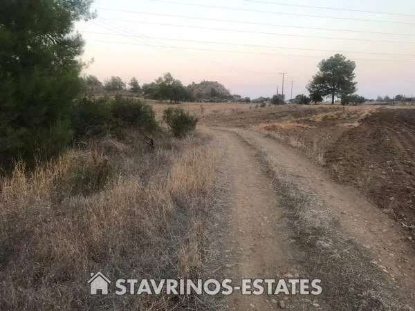 Αγροτεμάχιο 3000τ.μ.  - 5