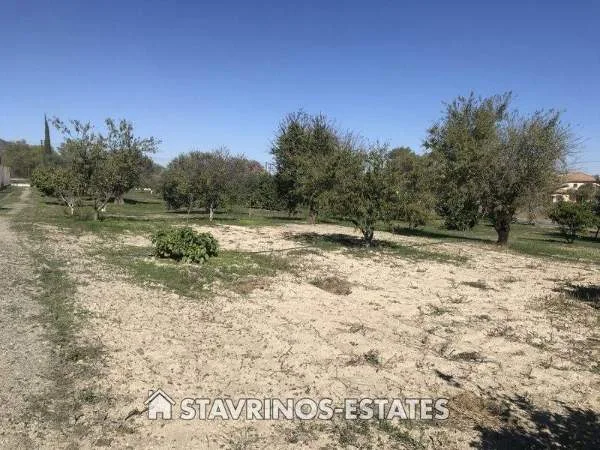 Αγροτεμάχιο 9495τ.μ.  - 5