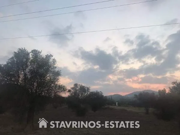 Αγροτεμάχιο 4014τ.μ.  - 3
