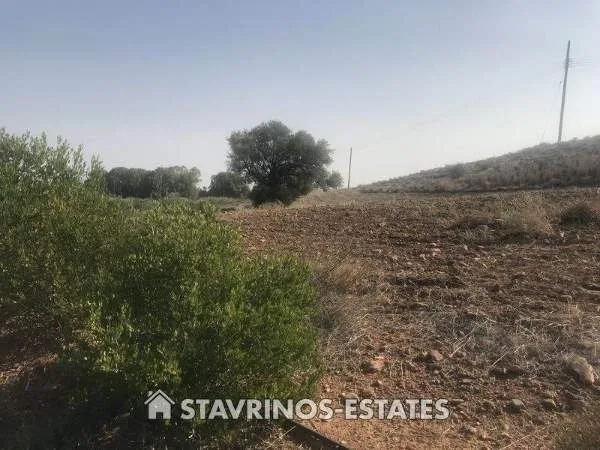 Αγροτεμάχιο 3995τ.μ.  - 4