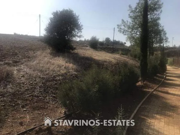Αγροτεμάχιο 3995τ.μ.  - 5