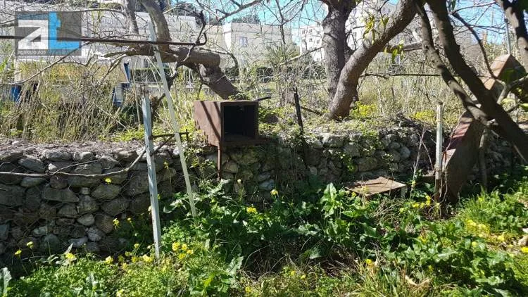 Οικόπεδο 305τ.μ.  - 5